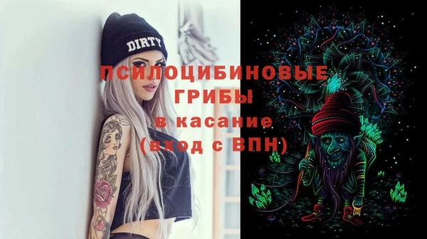 ГАЛЛЮЦИНОГЕННЫЕ ГРИБЫ Бронницы