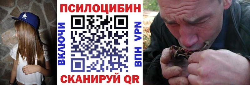 Галлюциногенные грибы MAGIC MUSHROOMS  Гатчина 