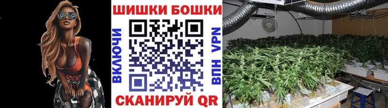 Конопля OG Kush  Гатчина 